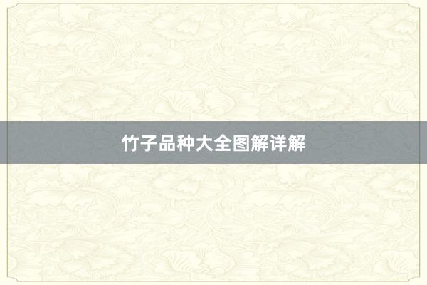 竹子品种大全图解详解